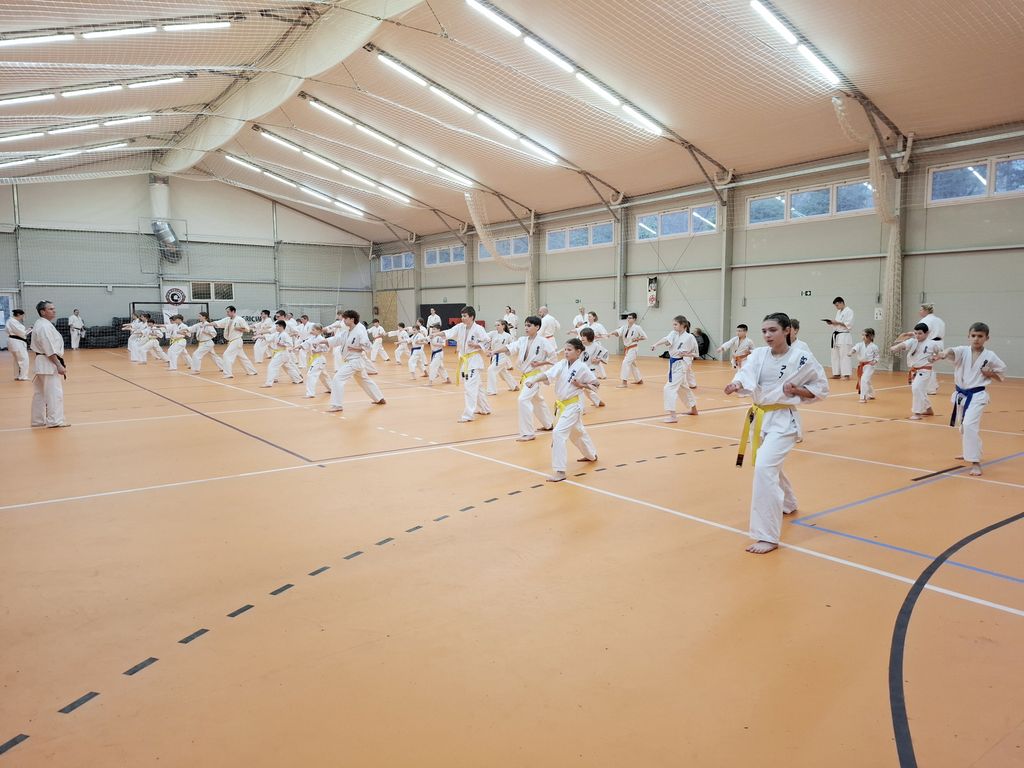 2025.12.20. halado vizsga